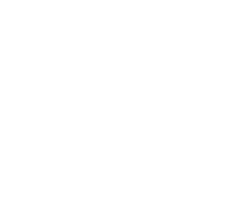 Texas A&M Foundation outline block logo